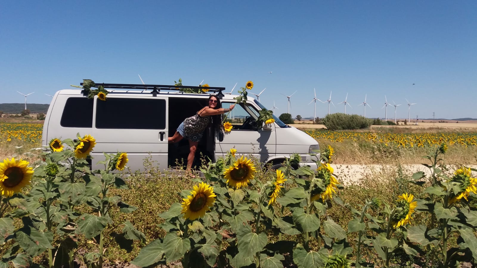 VW Bullis in Andalusien